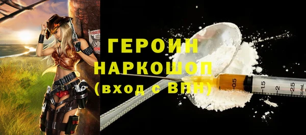 spice Богородицк